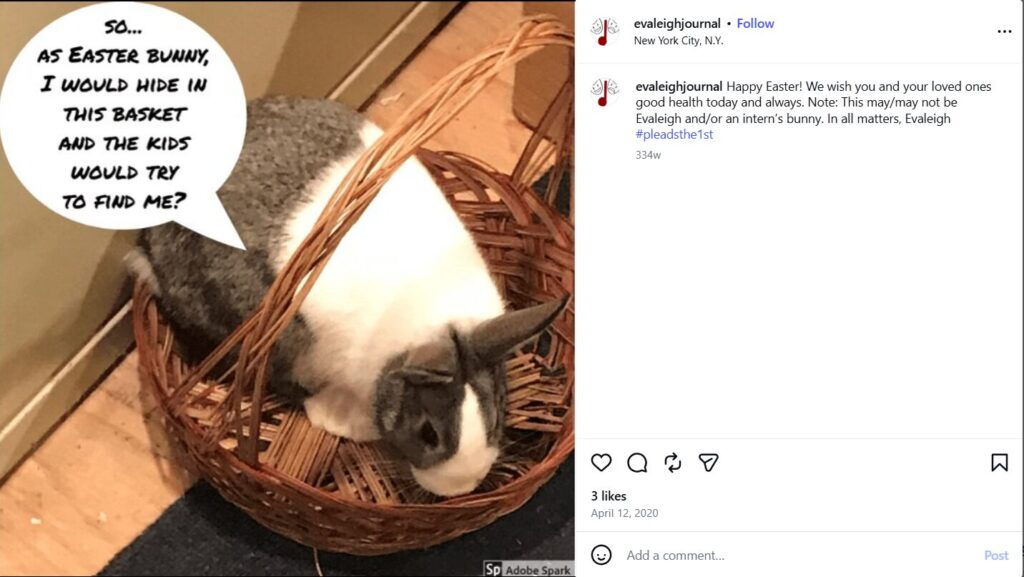 Gray and white rabbit in a brown basket with Photoshop speech bubble reading "so... as Easter Bunny, I would hide in this basket and the kids would try to find me?"— playful Easter Instagram post for Evaleigh's Everything Journal
